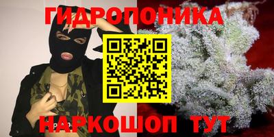 тгк Славянск-на-Кубани