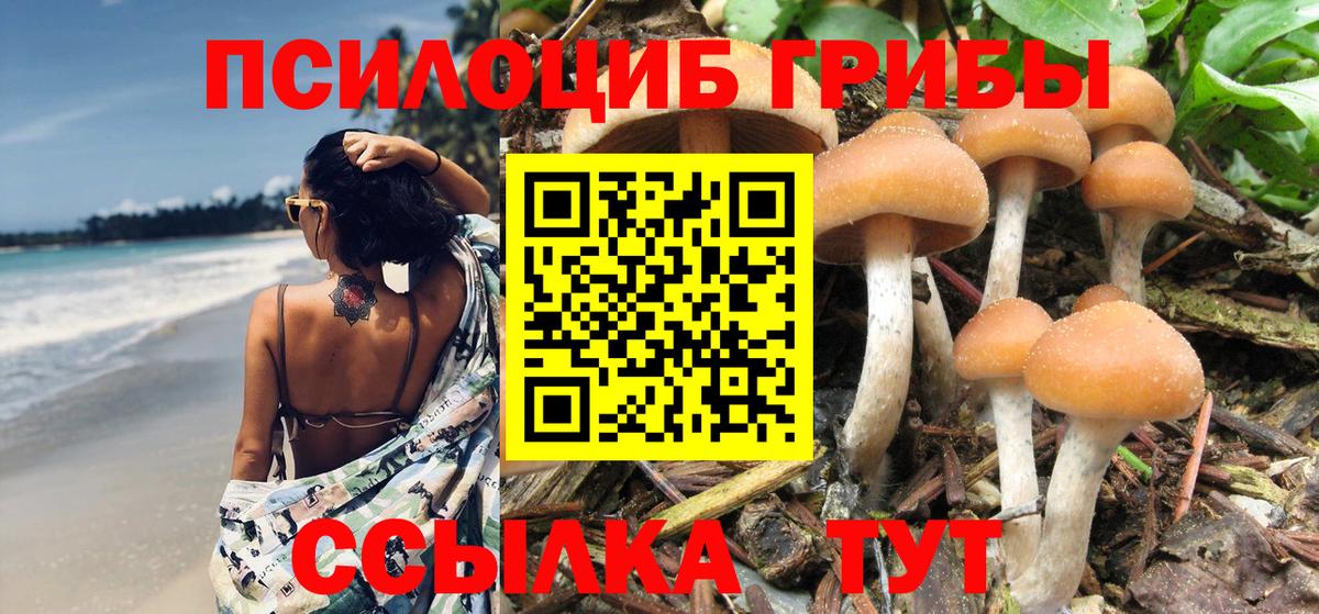 Псилоцибиновые грибы GOLDEN TEACHER  Псилоцибиновые грибы MAGIC MUSHROOMS  Вход с VPN  Артём 